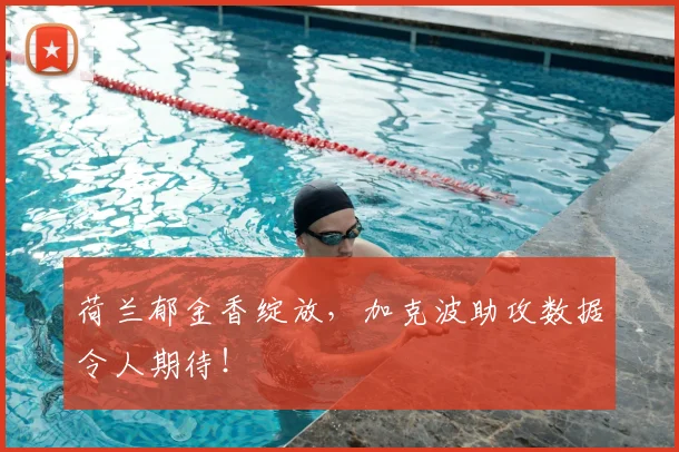 荷兰郁金香绽放，加克波助攻数据令人期待！