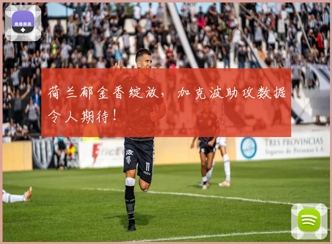 荷兰郁金香绽放，加克波助攻数据令人期待！